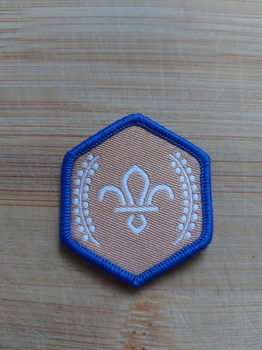 Current scouting beaver - uk,