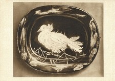 PABLO PICASSO : ALLA COLOMBA : A VENEZIA - POSTCARD