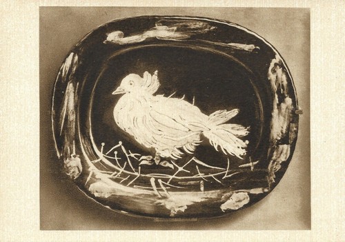 Pablo picasso alla colomba - colomba,