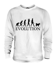 Siberian Husky Evolution Of