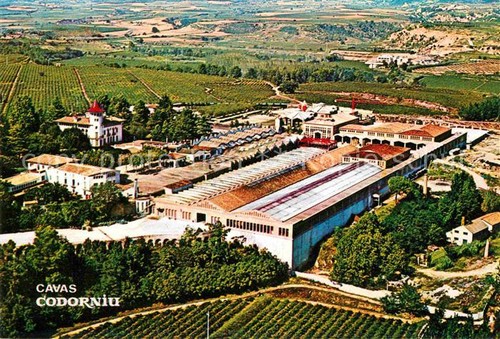 Cavas codorniu - cavas,