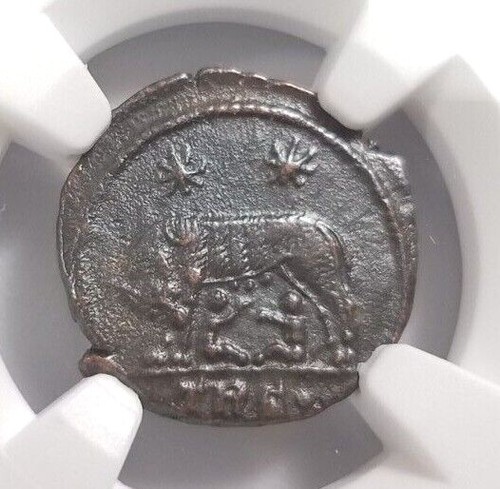 Gemelli lupo costantino ngc - lupo,