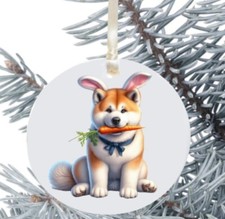 Akita Pasqua da Appendere