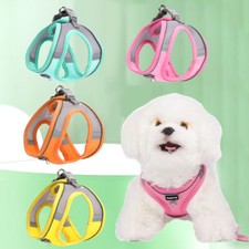Pettorina Per Animali