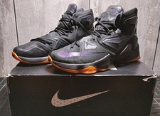 Nike LeBron Black Lion XIII