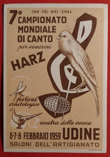 CARTOLINA UDINE 7° CAMPIONATO DI CANTO PER CANARINI 1959 ( C 95 )