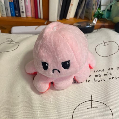 Ciondolo mascotte reversibile
