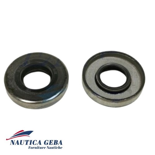 Paraoli piede evinrude johnson - evinrude,