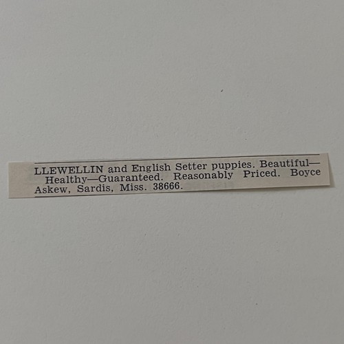 Pubblicità rivista llewellin - pubblicità,