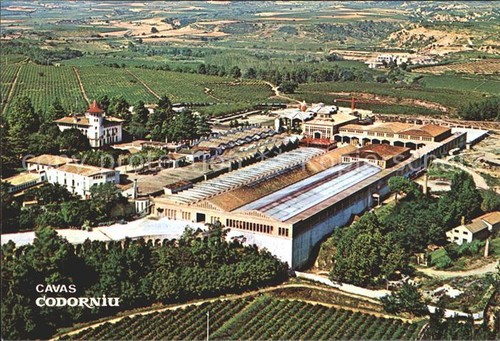 Codorniu cavas - codorniu,