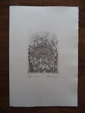 Ettore Fico quadro litografia "nido" incisione stampa 72/80 stamperia borgo po