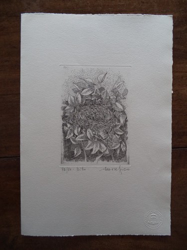 Ettore fico quadro litografia - ettore,