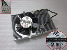 NUOVO Zotac 9400GT GT210 GT520