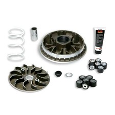 MF2505 Variatore Malossi
