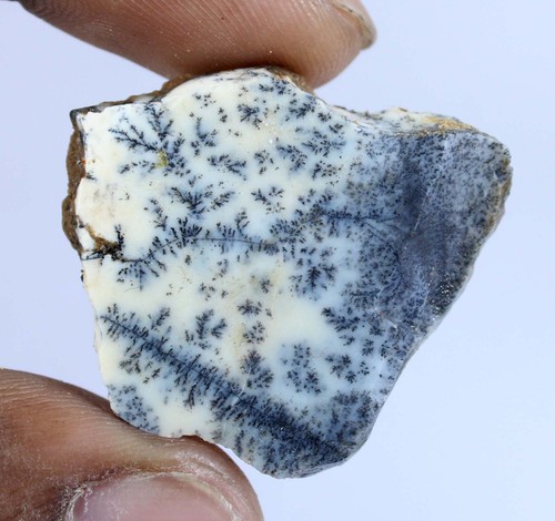 Opale dendrite australiano - opale,