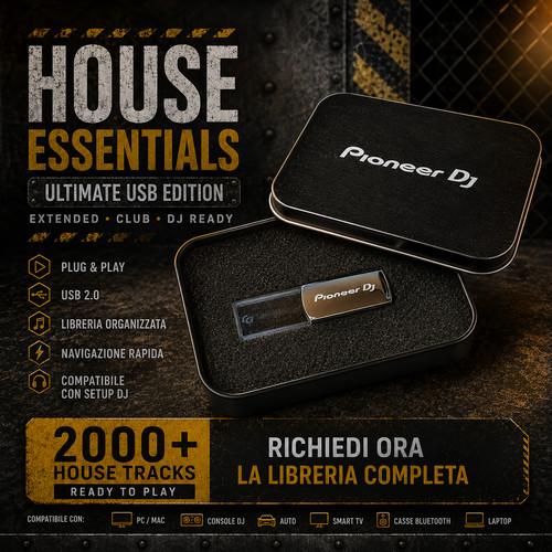 Chiavetta pioneer led - dj,