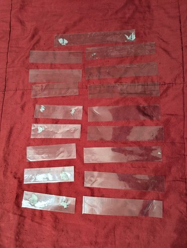 Buste bustine plastica - buste,