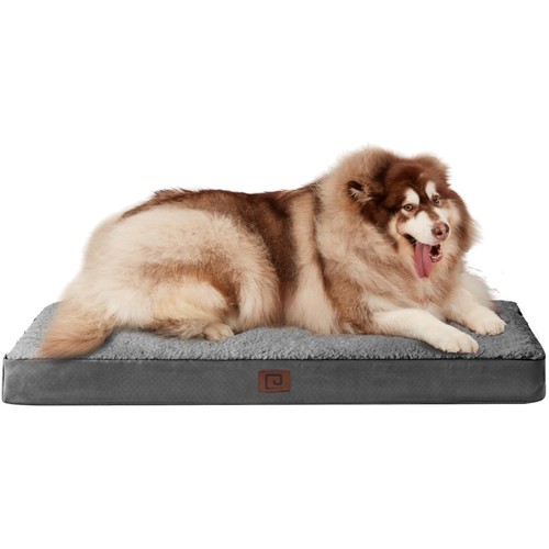 Cuccia cane ortopedica grande - ortopedica,