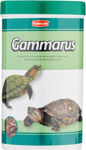 Gammarus alimento per - -,