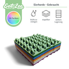 Orda di uova 290 x 290 mm -