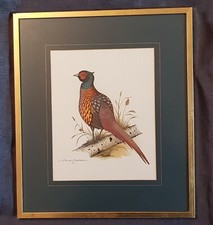 Quadro acquerello inglese XX