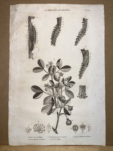 Incisione acciaio antica - incisione, su