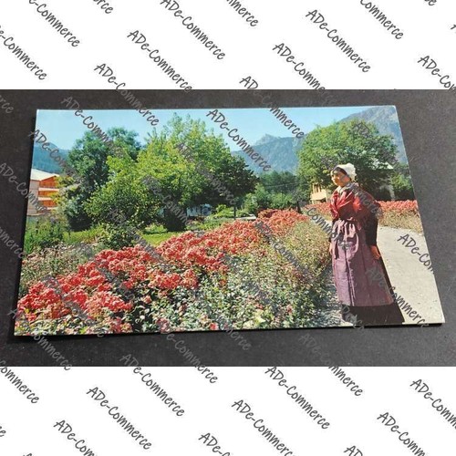 Postcard bardonecchia flower - bardonecchia,