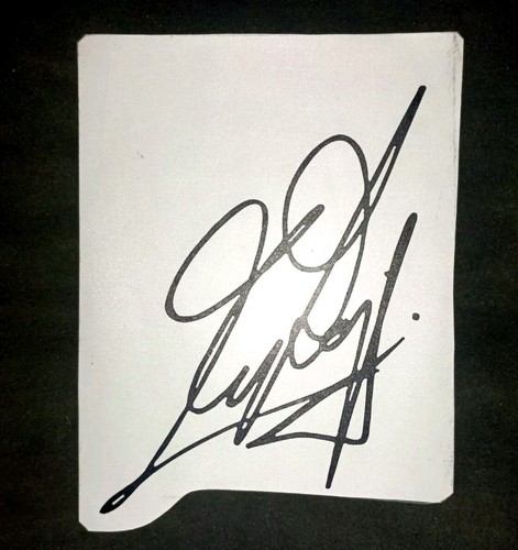 Adesivo autografo max biaggi - adesivo,