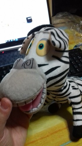 Peluche della zebra - della,