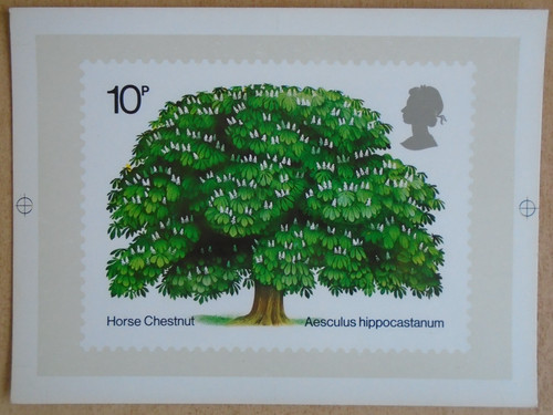 Scheda phq ippocastano 1974 - scheda,