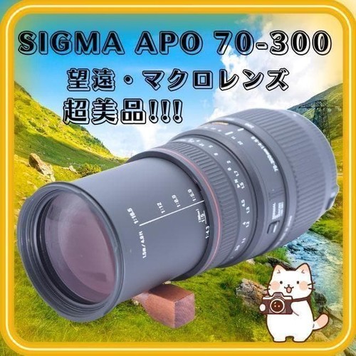 Sigma apo - sigma, dg