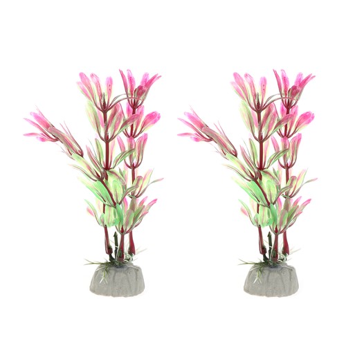 2pz acquario piante - 2pz,