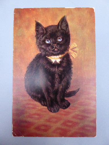 Antica cartolina gattino gatto