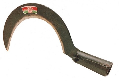 Roncola tipo scanzano - tipo,