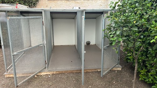 Box cani - x,
