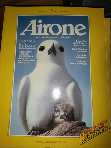 Rivista airone maggio - rivista, n