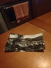 CARTOLINA S.STEFANO D AVETO (