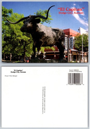 Capitan longhorn steer - el,