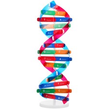  Geni Umani Modello Dna Doppia
