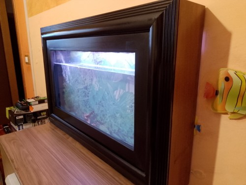 Acquario parete misure - da,
