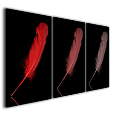 Quadri moderni Piumes immagini