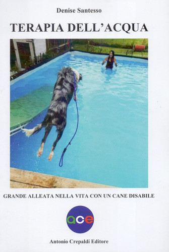 Terapia dell acqua grande - terapia,