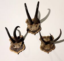 Collezione 3 vecchi trofei