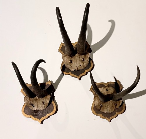 Collezione vecchi trofei - vecchi,