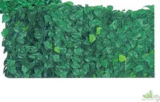 ROTOLO 20 MT SIEPE ARELLA