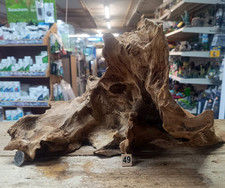 Grande Derwen 33-43 cm legno