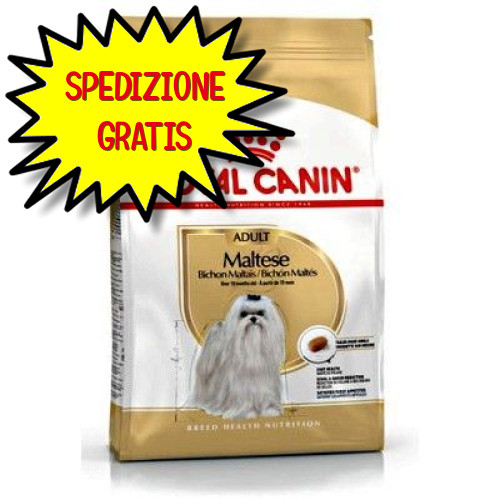 Royal canin cane maltese adult - royal,