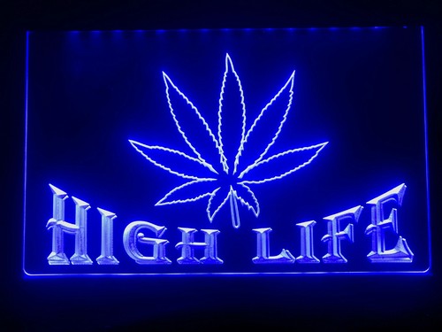 Foglia high life bar - life,