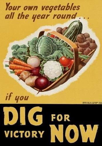 84704 poster stampa - 84704,