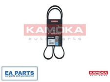 CINGHIA COSTATA A V PER ALFA